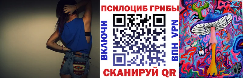 Псилоцибиновые грибы Cubensis  наркошоп  Орлов 